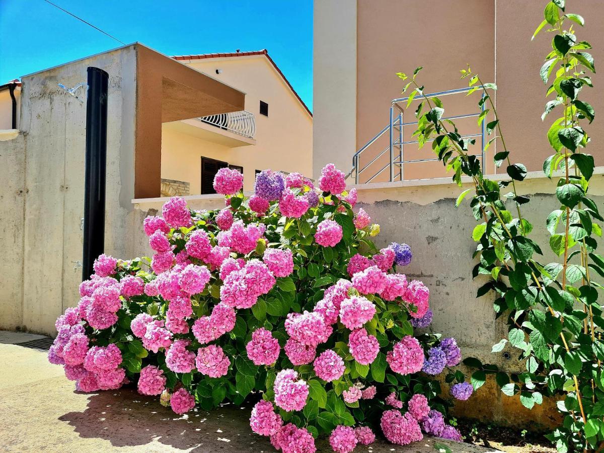 ברודאריצה Apartment Ivana מראה חיצוני תמונה